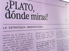Plato donde miras?